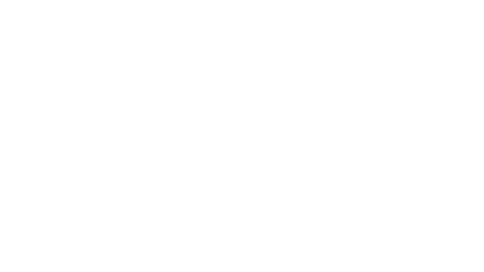 Melee Logo